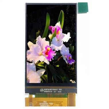 3.1 nti LCD zaub